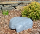 Rodent Rock Cafe (4/case)